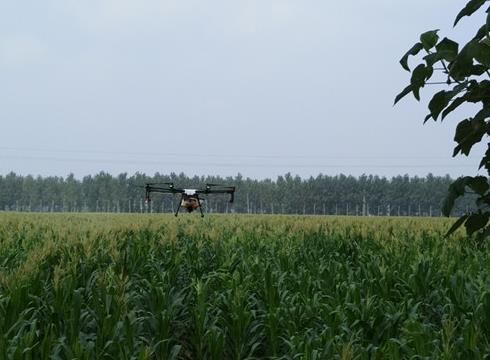 農(nóng)田里的“戰(zhàn)斗機”——沙苑農(nóng)場開展植保飛機防控玉米粘蟲災害